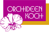 Orchideen Koch